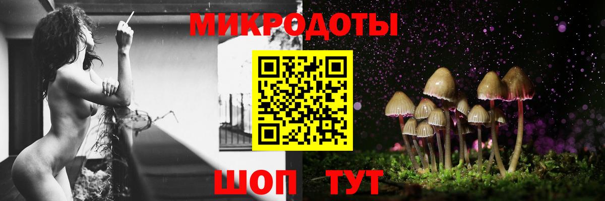 Псилоцибиновые грибы MAGIC MUSHROOMS  Вход с VPN  Бор  Галлюциногенные грибы Cubensis 