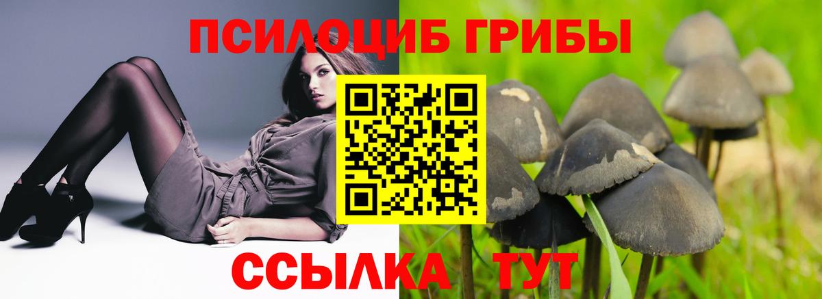 Галлюциногенные грибы Cubensis Бор
